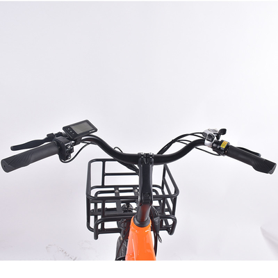 Fahrrad der Soem-Taschen-Fracht-E für Pendler-Nahrungsmittellieferung 750W